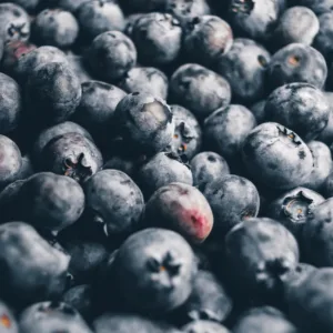 Frische Heidelbeeren als Sinnbild fuer bewusste Ernaehrung