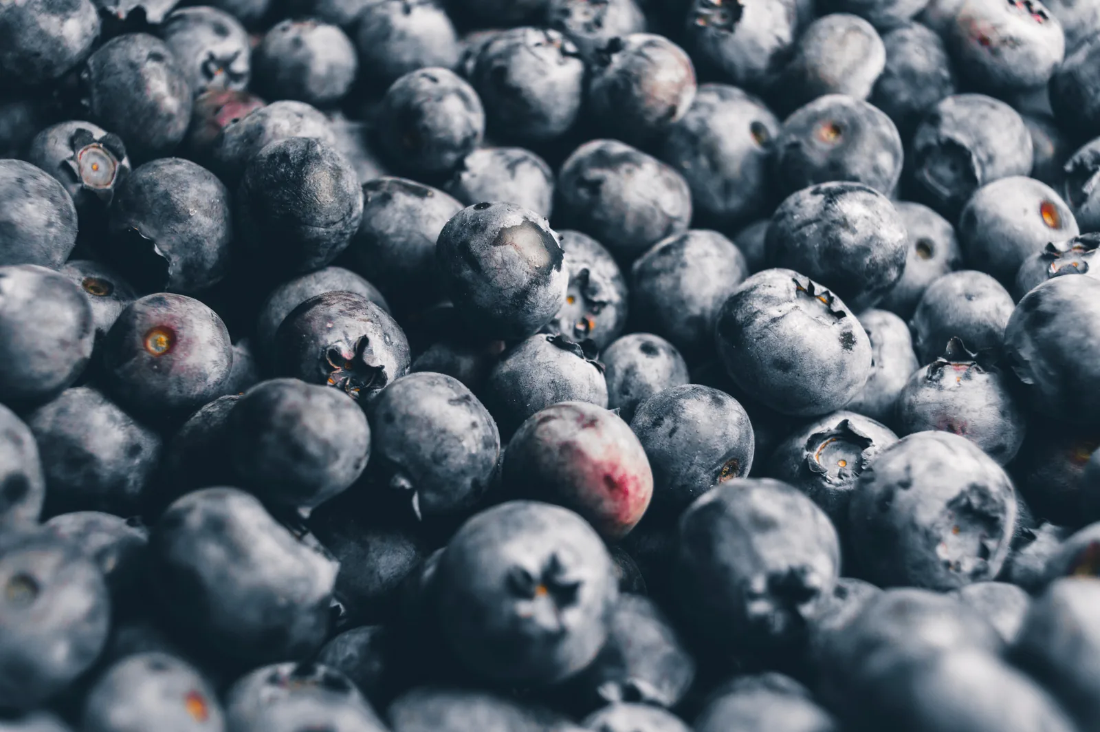 Frische Heidelbeeren als Sinnbild für bewusste Ernährung