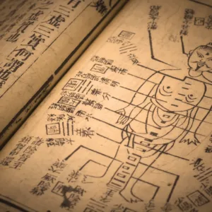 Historische Darstellung der Meridianlehre aus der Traditionellen Chinesischen Medizin